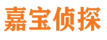 武陵源侦探公司